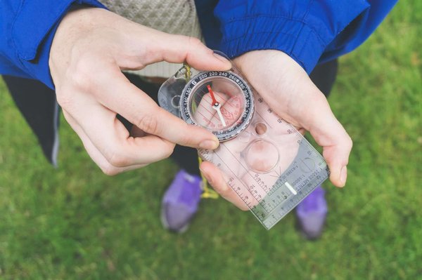 Road trip à travers la Toscane : villes médiévales, vignobles et art renaissance