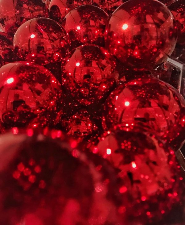 Où trouver les meilleurs spots de plongée en mer Rouge pour les plongeurs débutants ?