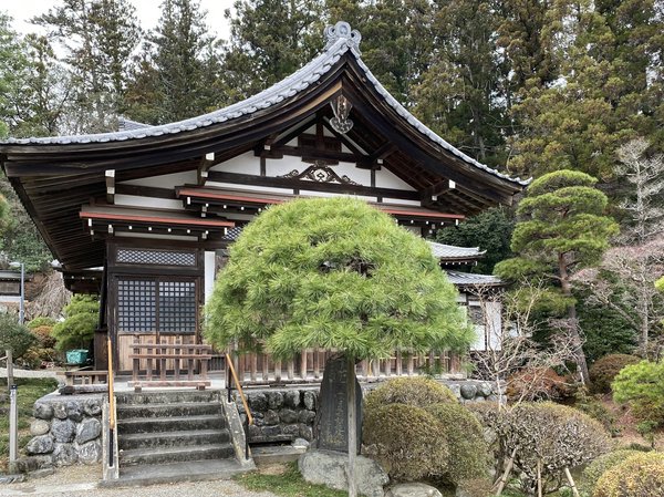 Voyage en asie : les activités à faire au japon