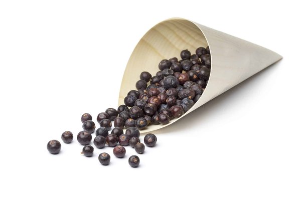 Quel sac pour voyager ?